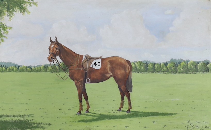 Tanis Batter, oil on board of a race horse 'Genevieve 1960' 37x59cm